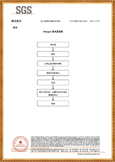 塑鋼帶SGS測(cè)試報(bào)告（中文版）