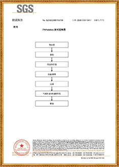 塑鋼帶SGS測(cè)試報(bào)告（中文版）